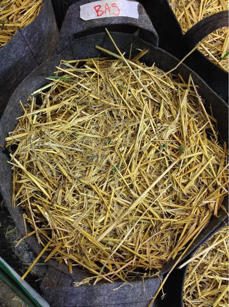 Build-a-Soil: Barley Straw Mulch