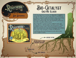 Rootwise: Bio-Catalyst Enzymes Elixir